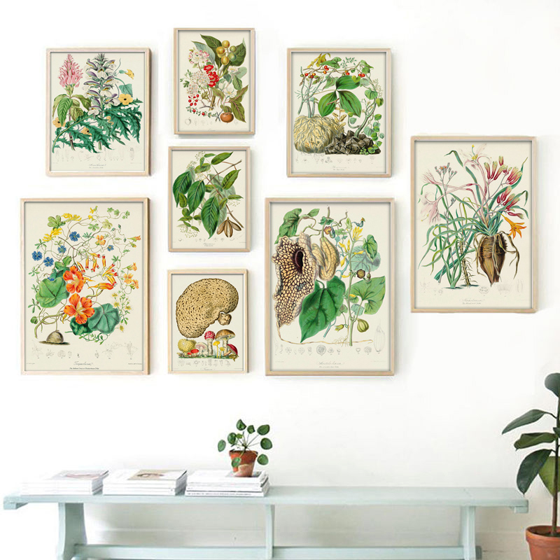 Collection botanique : affiche - Vintage Collectible Posters avis et prix