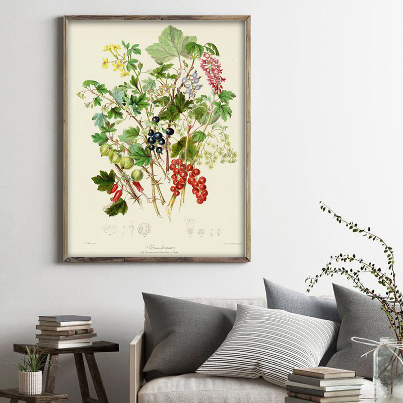 Collection botanique : affiche - Vintage Collectible Posters avis et prix